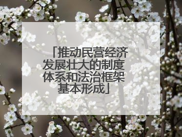 推动民营经济发展壮大的制度体系和法治框架基本形成