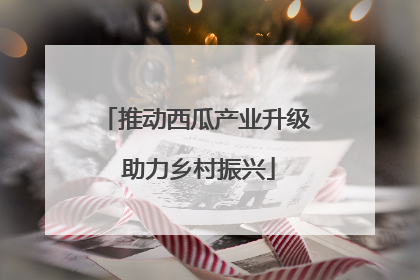 推动西瓜产业升级 助力乡村振兴