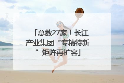 总数27家！长江产业集团“专精特新”矩阵再扩容