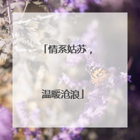 情系姑苏，温暖沧浪