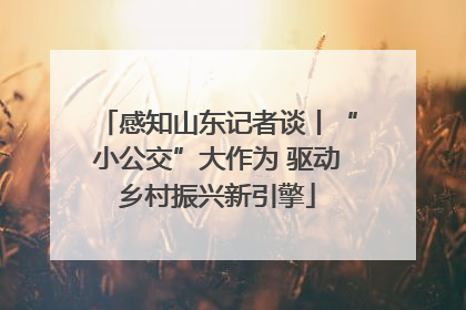 感知山东记者谈丨“小公交”大作为 驱动乡村振兴新引擎