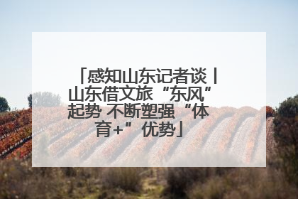 感知山东记者谈丨山东借文旅“东风”起势 不断塑强“体育+”优势