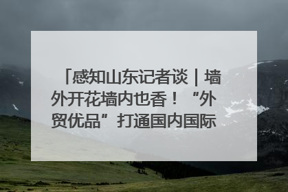 感知山东记者谈｜墙外开花墙内也香！“外贸优品”打通国内国际市场“旋转门”