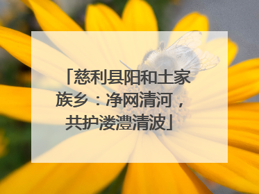 慈利县阳和土家族乡：净网清河，共护溇澧清波