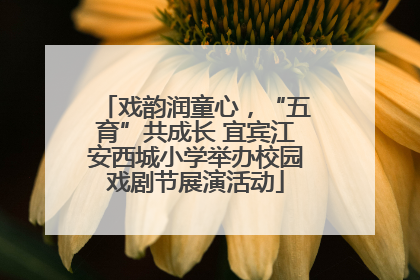 戏韵润童心，“五育”共成长 宜宾江安西城小学举办校园戏剧节展演活动