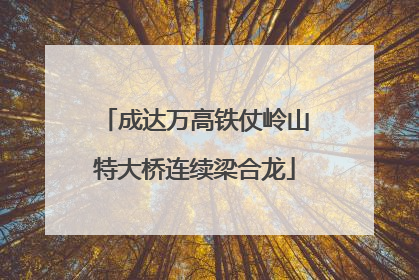 成达万高铁仗岭山特大桥连续梁合龙