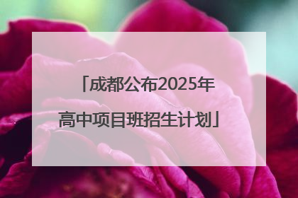 成都公布2025年高中项目班招生计划