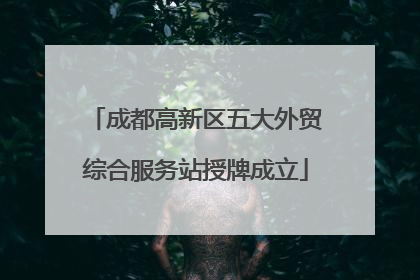 成都高新区五大外贸综合服务站授牌成立