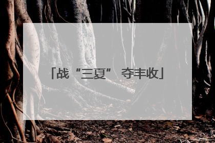 战“三夏” 夺丰收