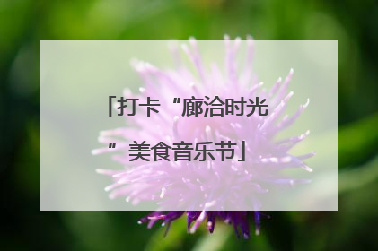 打卡“廊洽时光”美食音乐节