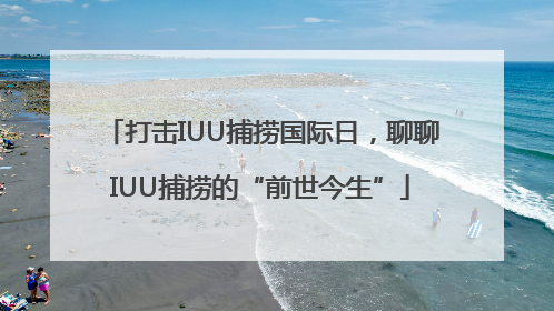 打击IUU捕捞国际日，聊聊IUU捕捞的“前世今生”