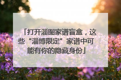 打开淄图家谱盲盒，这些“淄博限定”家谱中可能有你的隐藏身份