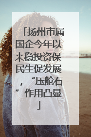 扬州市属国企今年以来稳投资保民生促发展，“压舱石”作用凸显