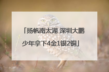 扬帆南太湖 深圳大鹏少年拿下4金1银2铜