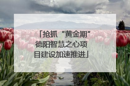 抢抓“黄金期” 德阳智慧之心项目建设加速推进
