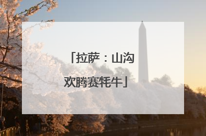 拉萨：山沟欢腾赛牦牛