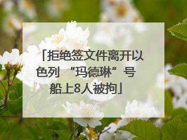 拒绝签文件离开以色列 “玛德琳”号船上8人被拘