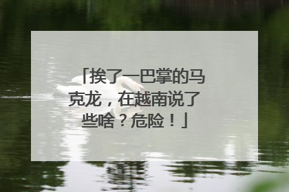 挨了一巴掌的马克龙，在越南说了些啥？危险！