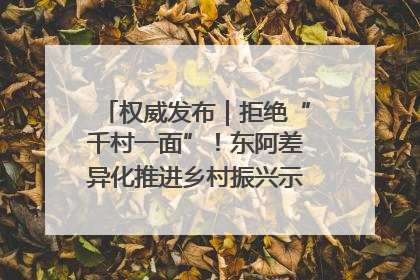 权威发布｜拒绝“千村一面”！东阿差异化推进乡村振兴示范片区建设