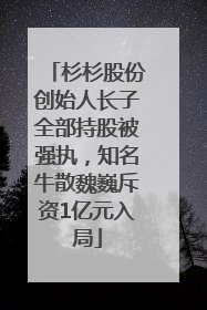 杉杉股份创始人长子全部持股被强执，知名牛散魏巍斥资1亿元入局