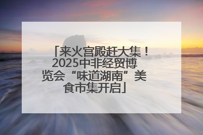 来火宫殿赶大集！2025中非经贸博览会“味道湖南”美食市集开启