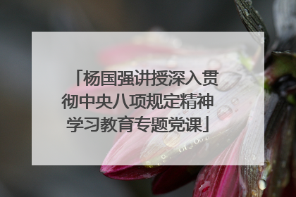 杨国强讲授深入贯彻中央八项规定精神学习教育专题党课