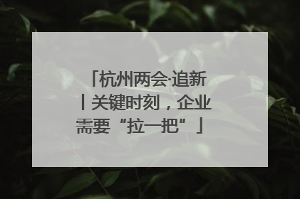 杭州两会·追新丨关键时刻，企业需要“拉一把”