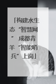 构建水生态“智慧网” 成都青羊“智能哨兵”上岗