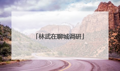 林武在聊城调研
