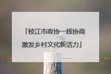 枝江市政协一线协商激发乡村文化新活力
