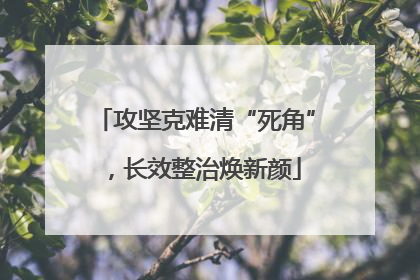 攻坚克难清“死角”，长效整治焕新颜