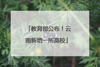 教育部公布！云南新增一所高校