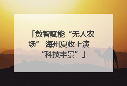 数智赋能“无人农场” 海州夏收上演“科技丰景”