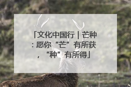 文化中国行｜芒种：愿你“芒”有所获，“种”有所得