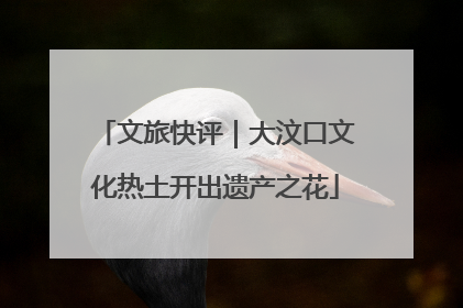 文旅快评｜大汶口文化热土开出遗产之花