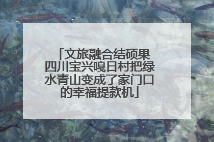 文旅融合结硕果 四川宝兴嘎日村把绿水青山变成了家门口的幸福提款机