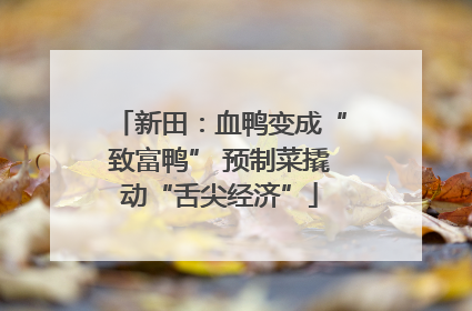 新田：血鸭变成“致富鸭” 预制菜撬动“舌尖经济”