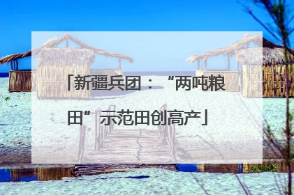 新疆兵团：“两吨粮田”示范田创高产