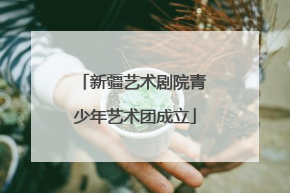 新疆艺术剧院青少年艺术团成立