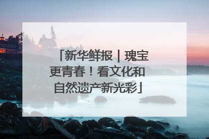 新华鲜报｜瑰宝更青春！看文化和自然遗产新光彩