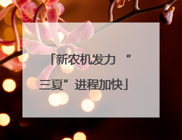 新农机发力 “三夏”进程加快