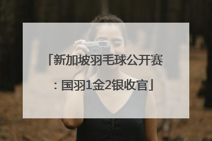 新加坡羽毛球公开赛：国羽1金2银收官