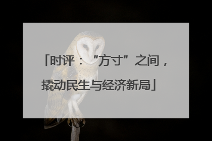 时评：“方寸”之间，撬动民生与经济新局