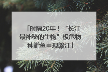 时隔20年！“长江最神秘的生物”极危物种鳤鱼重现赣江