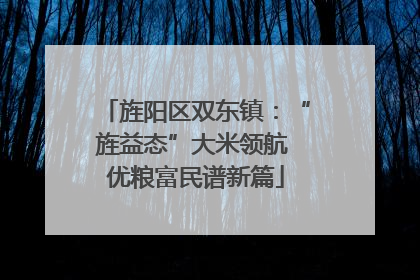 旌阳区双东镇：“旌益态”大米领航 优粮富民谱新篇