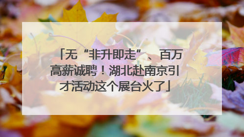 无“非升即走”、百万高薪诚聘！湖北赴南京引才活动这个展台火了
