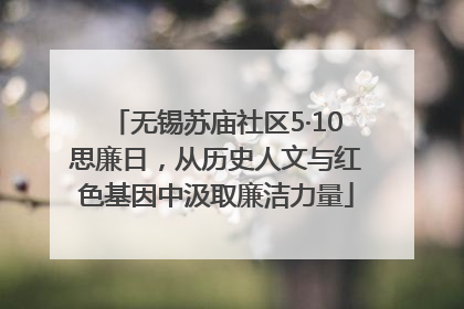 无锡苏庙社区5·10思廉日，从历史人文与红色基因中汲取廉洁力量