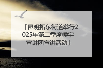 昆明拓东街道举行2025年第二季度楼宇宣讲团宣讲活动
