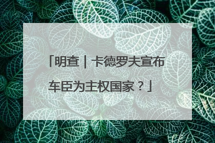 明查｜卡德罗夫宣布车臣为主权国家？