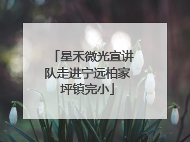 星禾微光宣讲队走进宁远柏家坪镇完小